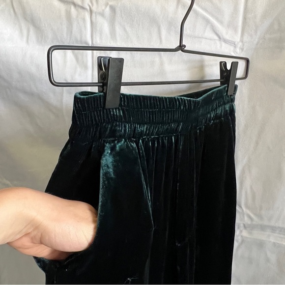 Zara Velvet Green Pant - Picture 5 of 6